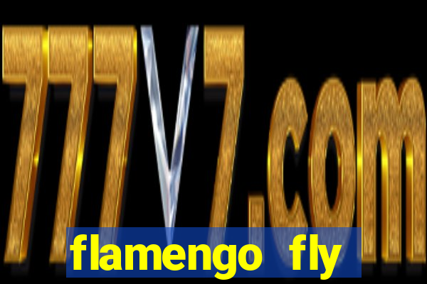 flamengo fly emirates ultimas noticias